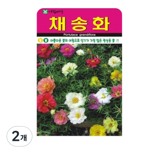채송화 씨앗, 2개
