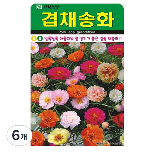 겹채송화 꽃 씨앗 꽃씨 종자 씨, 6개