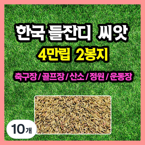 한국들잔디 씨앗 4만립 (중포장) 축구장 골프장 공원 산소 잔듸, 10개