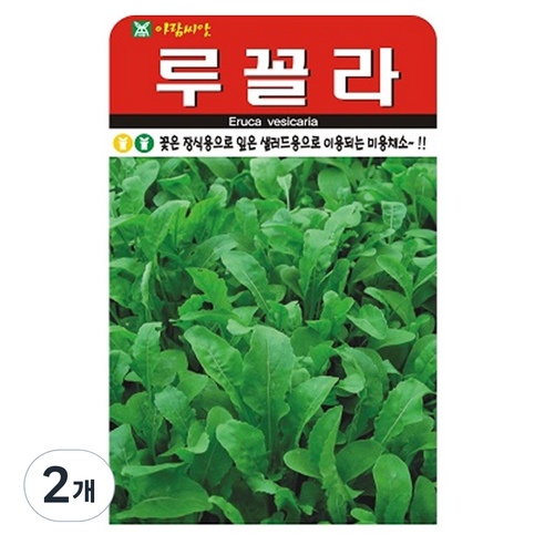 루꼴라 씨앗 2000립, 2개