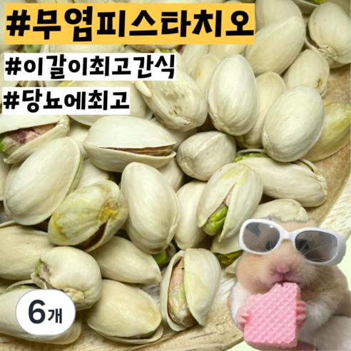[내일도착] 당뇨예방 무염 햄스터 기니피그 친칠라 이갈이 피스타치오 간식, 6개, 20g