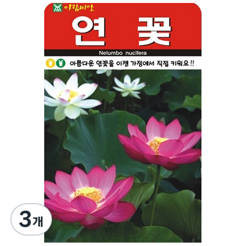 연꽃 씨앗, 3개