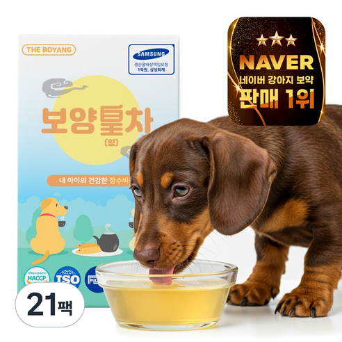더보양 보양황차 강아지 고양이 마시는 천연 영양제, 40ml, 21팩