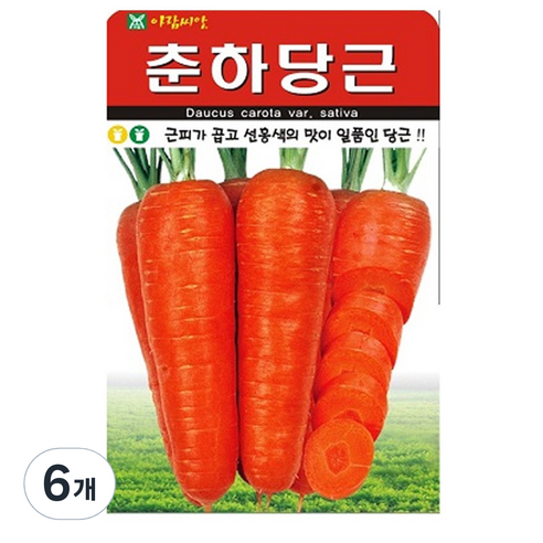 춘하당근 씨앗 당근 씨 종자, 6개