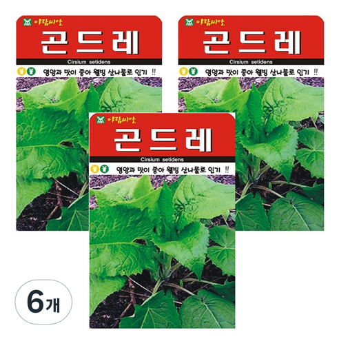 곤드레 씨앗 나물 씨 종자, 6개
