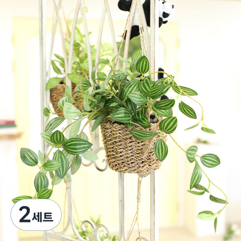 [1+1]인테리어 조화 행잉플랜트 벽장식 가랜드 뉴행잉넝쿨화분바구니세트, 2세트, 페페