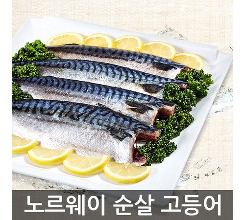 생물참고등어 고르는 법
