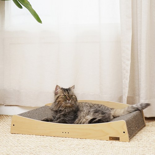 가또블랑코