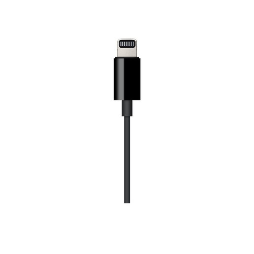 Apple 정품 Lightning to 3.5mm Audio Cable 1.2m, 블랙, 1개 - 애플 젠더 추천