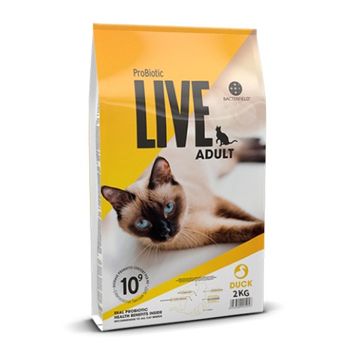 어덜트+고양이+유산균