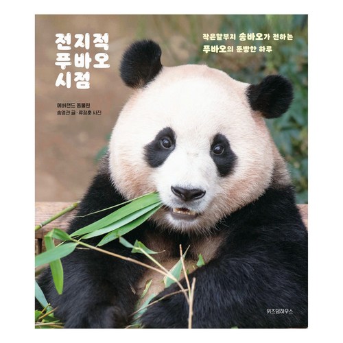 푸바오책