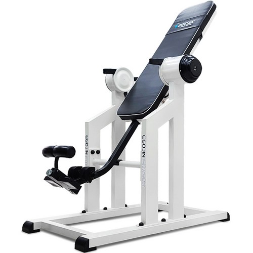 이고진 전동 거꾸리 일반형, 화이트, RT75