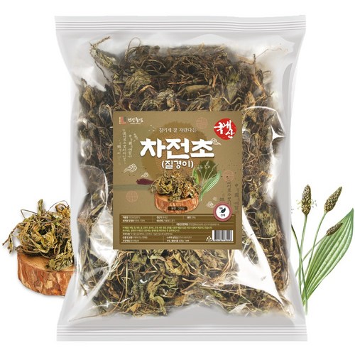 질경이건초