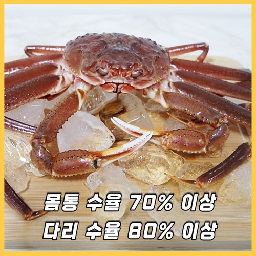 포항대게