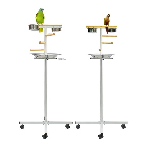 놀이터 쟁반 횃대 (중 대) /앵무새/코뉴어/모란앵무/퀘이커/뉴기니아, 사이즈를 선택하세요., 1개