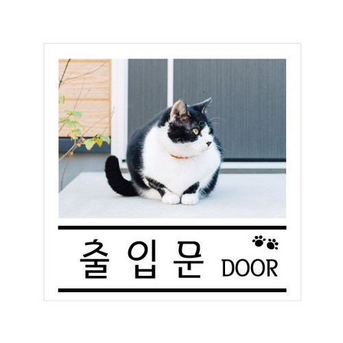 펫사인 아크릴표지판 반려견반려묘 감성문패, 1개, F35106 출입문