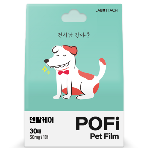 치석필름