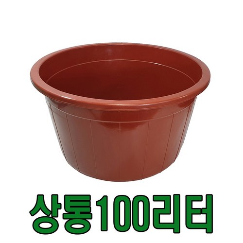 킹센스스텐다라이