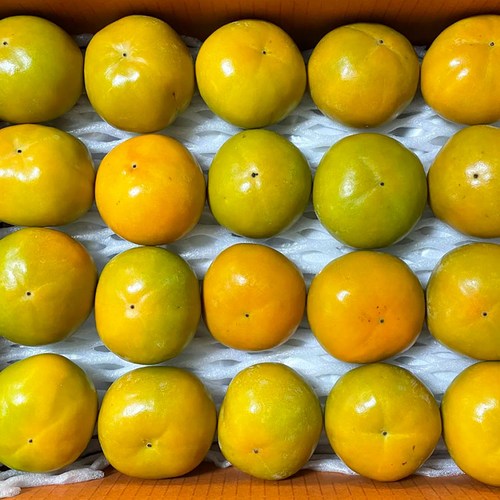 [음식의 발견] 초특가 단감 아삭한 고당도 제철 단감 못난이 단감 1kg 2kg 3kg 10kg, 1박스, 3kg(15~24과)