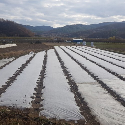 서리방지부직포 못자리부직포 냉해방지 마늘부직포 고추부직포 한랭사 한냉사 병충해방지 겨울작물 18g 폭1.8m 길이400m, 1개