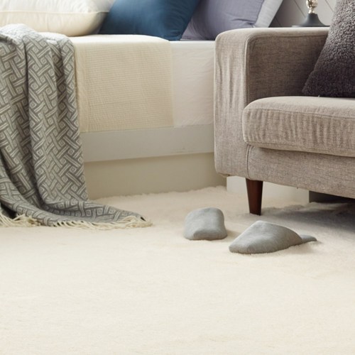 모두의러그 마일드터치 극세사 사각 러그 모음 4size / 4color