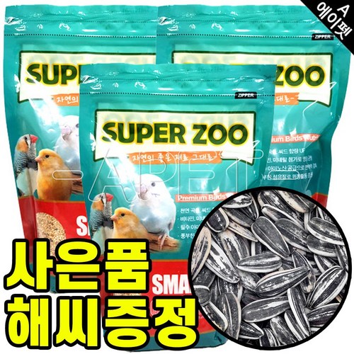 핑퐁새모이