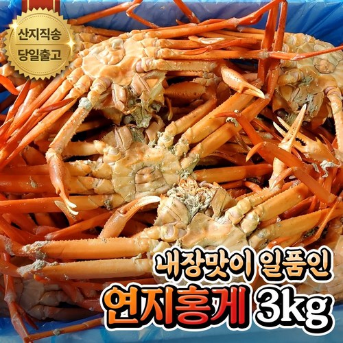[산지직송] 주문진 제철 홍게 자숙 연지홍게 (박달형/프리미엄/A급/실속형) 수율좋은 선주직송, A급 연지홍게 3kg (9~11미), 1개