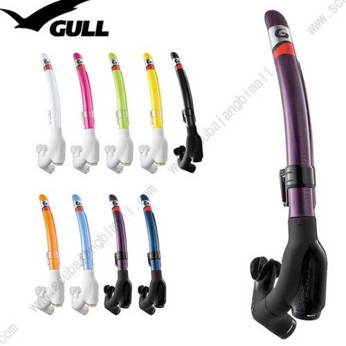gull스노클