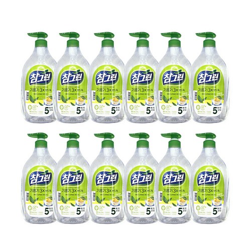 참그린 참그린 기름기뽀드득 레몬녹차 1kg 펌프 12개입(1box), 12개
