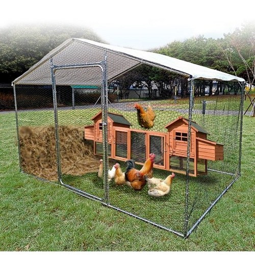 닭장 조립식 양계장 닭집 그물망 대형 사육장 하우스 조류 새장 동물망 가정용 페리코 2평 4평 6평, 1개, FCP-232P