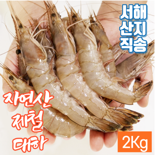 d5cb5fa1af55dbbd4e269deb031df6151d37a421b19ed093f10eb5b5ede8.png