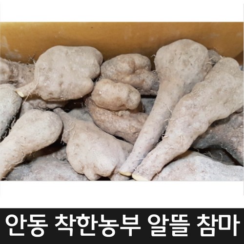 산마