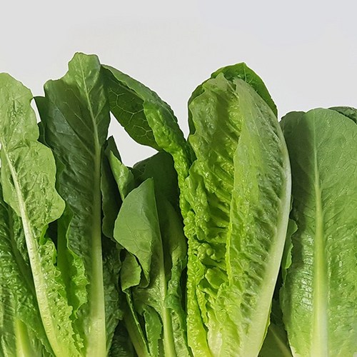 52a949f9946686cf34ea0df7a37122b26144ae62ef9a78bde04796e55363.jpg