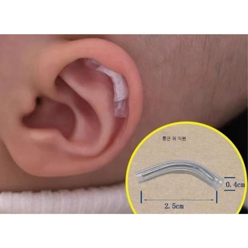 강아지귀교정
