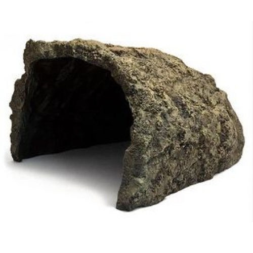 육지거북은신처