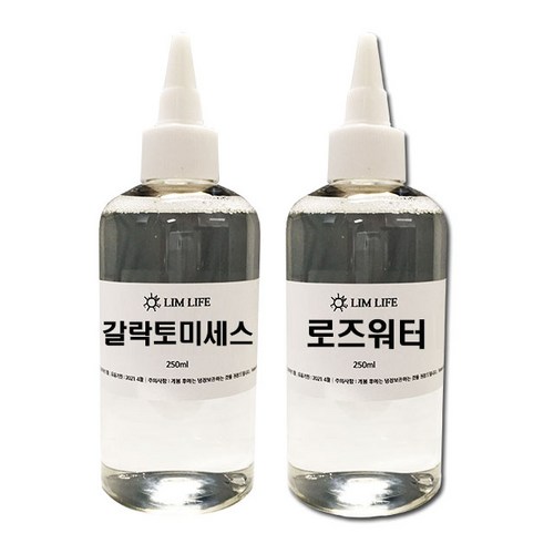 갈락토미세스