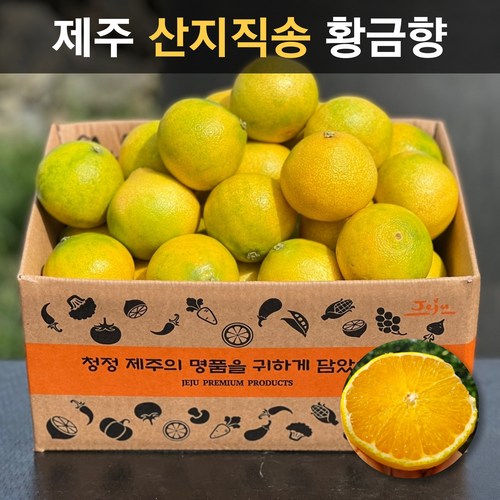 리사월릿
