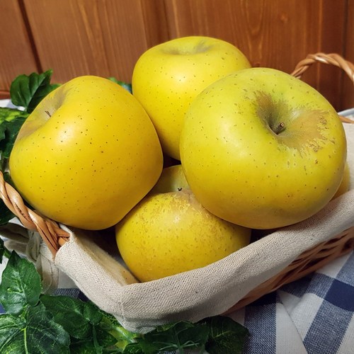 청송 시나노골드(황금사과) 1.5kg 2.5kg 5kg(선물세트), 시나노골드2.5kg 상특과, 1개