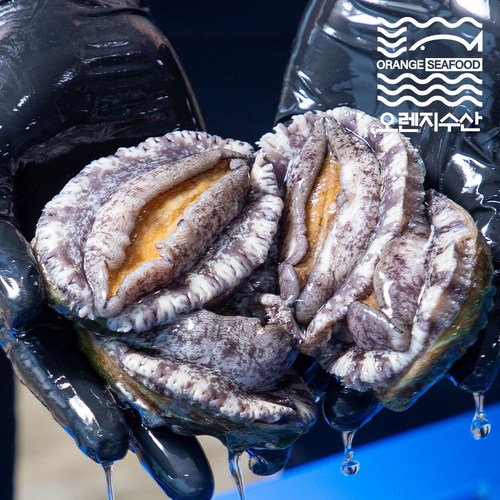 오렌지수산 해남 완도 활 전복 선물세트, 500g 6호 대 10~11미(5-6개), 1개