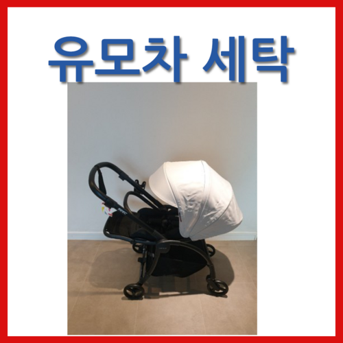 시크더뉴롤리팝