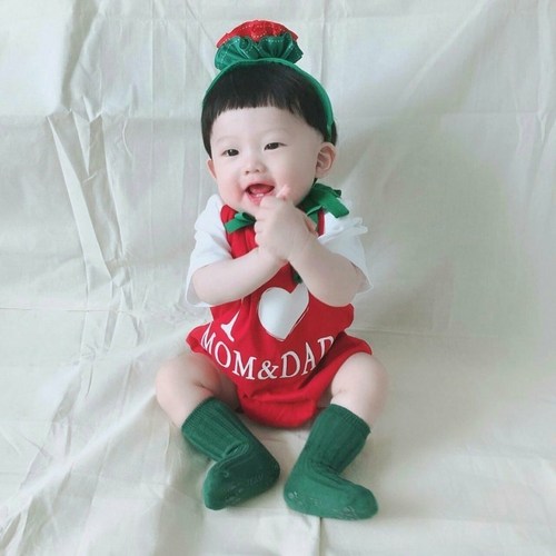 아기카네이션 추천 10