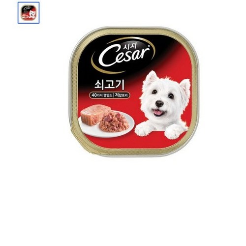 시저 반려견 주식캔 쇠고기, 쇠고기 (1세 이상), 100g, 6개