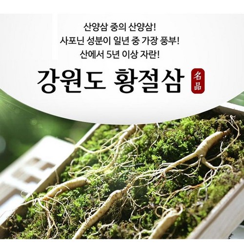 강원도 명품 황절삼 1세트-10뿌리 5년근이상 산양삼 장뇌삼 산삼, 1박스(10뿌리) - 산삼 배양근 추천