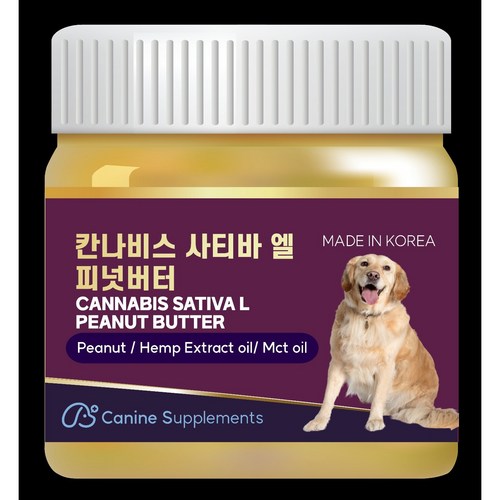 애니유