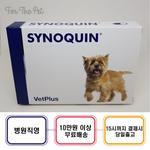 사노이퀸
