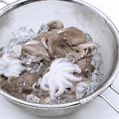 냉동쭈꾸미 주꾸미 볶음용, 1팩, 8마리