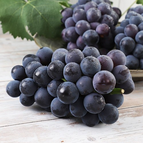 [오감프룻] 꿀당도 달콤한 과육 경북 경산, 1개, 거봉포도 2kg-3수