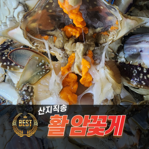신속발송 산지직송 국내산 제철 꽃게, 1개, 당일조업 암꽃게 1kg