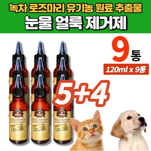 오클루벳
