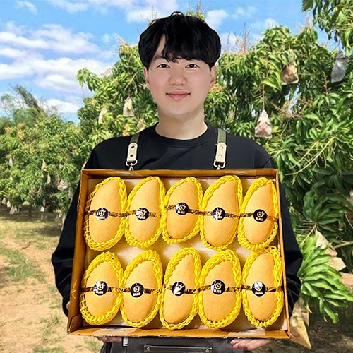 망고밥트리플엑스